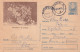 A24442  -  IMORTELE STEFAN LUCHIAN  Postal Stationery ROMANIA 1966 - Enteros Postales