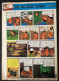 TINTIN Le Journal Des Jeunes N° 977 - 1967 - Tintin