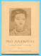 5 Pro Juventutekarten Nr. 265-269 - Originalverpackt - Storia Postale