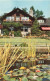 CANADA - Vancouver - Lily Pond And Pavilion In Stanley Park - Carte Postale - Vancouver