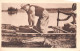 Capture D Un Caiman Au Lasso 2(scan Recto-verso) MA980 - French Guinea