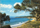 PORQUEROLLES Paysage Typique De La Cote 20(scan Recto-verso) MA990 - Porquerolles