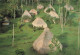 FIDJI - The Thatched Houses Called Bures Are Cool In The Summer And Warm In The Winter - Animé - Carte Postale - Fidschi