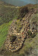  TRANSHUMANCE Mouton Moutons Dans Le Massif Des Cavennes 5(scan Recto-verso) MA1086 - Viehzucht