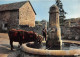  TRANSHUMANCE Mouton Moutons En Parcourant L Auvergne L Abreuvoir 11(scan Recto-verso) MA1086 - Viehzucht