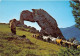  TRANSHUMANCE Mouton Moutons La Pierre Percee Une Des 7 Merveilles Du Dauphine 10(scan Recto-verso) MA1086 - Viehzucht