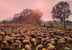  TRANSHUMANCE Mouton Moutons Notre Belle France Pastorale 14(scan Recto-verso) MA1086 - Elevage
