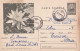 A24478 - FLOWER NUFAR   Postal Stationery ROMANIA 1964 - Ganzsachen