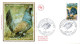 Delcampe - ANDORRE  LOT 38  FDC DIFFERENTS - Lots & Kiloware (max. 999 Stück)