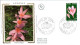 Delcampe - ANDORRE  LOT 38  FDC DIFFERENTS - Lots & Kiloware (max. 999 Stück)