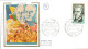 Delcampe - ANDORRE  LOT 42 FDC DIFFERENTS - Kilowaar (max. 999 Zegels)