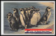 1071 Antarctic Polar Antarctica Chili (chile) Base Navale Arturo Prat 1959 Pinguins - Estaciones Científicas