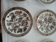 9 Assiettes Jacobean. Ridgway Ironstone. - Borden