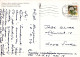 FLEURS Vintage Carte Postale CPSM #PBZ222.A - Blumen