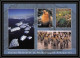 2800 Sea Elephant Terres Australes (taaf)-carte Postale Dufresne 2 Signé Signed Op 2008/3 Crozet N°511 8/11/2008 - Antarctische Expedities