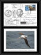 2796 Terres Australes (taaf)-carte Postale Dufresne 2 Signé Signed Op 2008/2 TREGUER Sea Elephant 8 N°511 CROZET - Lettres & Documents