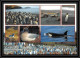 2640 ANTARCTIC ILE MAURICE (taaf)-carte Postale Dufresne 2 Signé Signed 10/11/2006 N°449 - Antarktis-Expeditionen
