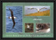2802 Sea Elephant Terres Australes (taaf)-carte Postale Dufresne 2 Signé Signed Op 2008/3 St Paul N°510 21/11/2008 - Antarctische Expedities