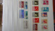 Delcampe - BF39 Ensemble De Timbres De Divers Pays + France N° 246 à 251 **  Cote 305 Euros - Collections (with Albums)