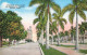 CPA Avenue Of Royal Palms Or President's Avenue-Havana-Cuba        L2848 - Cuba