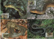 Moldova 1993 WWF W.W.F. Maximum Cards, Die Askulapnatter Aesculapian Snake - Maximum Cards