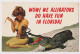 Sexy Young Woman, Lady With Swimwear, Bikini, Pose With Alligator-Florida Fun, Vintage Photo Postcard RPPc Pin-Up /65194 - Pin-Ups