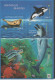 Vie Marine - Marine Life - Zeeleven  XXX - Fishes