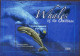 Vie Marine - Marine Life - Zeeleven  XXX - Fishes