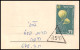 Delcampe - 11556 N°58 NOUVEL AN 1952 Collection / Lot 11 Lettres Covers Israel  - Lettres & Documents