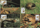 GAMBIA 1993 WWF W. W. F. Maximum Cards X4, LONG TAILED PANGOLIN Fauna - Tarjetas – Máxima