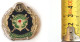 Persian, Iran , Iranian Badge Of The Iran Army  Infantry Force   نشان نیروی زمینی ارتش - Armée De Terre