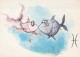 FISH Animals Vintage Postcard CPSM #PBS869.GB - Poissons Et Crustacés