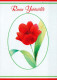 FLOWERS Vintage Postcard CPSM #PAR134.GB - Fleurs