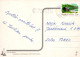 FLORES Vintage Tarjeta Postal CPSM #PBZ806.ES - Fleurs