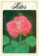 FLORES Vintage Tarjeta Postal CPSM #PAS277.ES - Fleurs