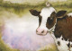 VACHE Animaux Vintage Carte Postale CPSM #PBR810.FR - Koeien