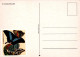 SCHMETTERLINGE Tier Vintage Ansichtskarte Postkarte CPSM #PBS413.DE - Papillons