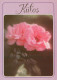 FIORI Vintage Cartolina CPSM #PAS100.IT - Fleurs