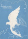 UCCELLO Animale Vintage Cartolina CPSM #PAN242.IT - Vogels