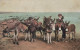 ASINO Animale BAMBINO Vintage CPA Cartolina #PAA327.IT - Donkeys