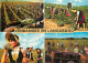 Vignes - Languedoc - Multivues - Vendanges - Folklore - CPM - Voir Scans Recto-Verso - Weinberge