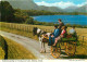Irlande - Kerry - Killarney - Traditional Jaunting Car Touring Lower Lake - Attelage De Chevaux - CPM - Voir Scans Recto - Kerry