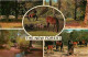 Animaux - Chevaux - Royaume-Uni - The New Forest - Multivues - CPM - UK - Voir Scans Recto-Verso - Chevaux