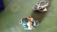 B17 / BOUCLE D OREILLE ANCIENNE - Earrings