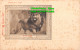 R380194 Study Of A Lion. Sir Edwin Landseer. Tuck. Tate Gallery. Postcard No. 12 - Monde