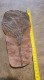 Très Beau Fossile D'un "Lys De Mer" Ou Crinoïde De 23.5cm De Long - Very Nice Fossil Of A Lily Of The Seas Or Crinoïd - Fossielen