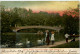 New York - Swan Pond - Central Park - Altri & Non Classificati