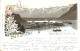 Gruss Aus Zell Am See - Litho - Zell Am See