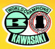 AUTOCOLLANT - KAWASAKI WORLD CHAMPION Champion Du Monde World MOTO Superbike - Pegatinas