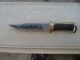 COUTEAU  CHASSE ORIGINAL BOWIE KNIFE  Stanless Stel  Manche Dore Dans Son Jus 26 Cm - Knives/Swords